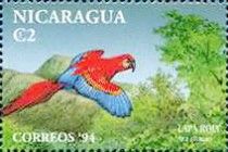 Scarlet Macaw (Ara macao)