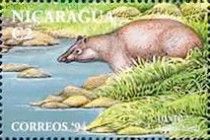 Tapirus bairdi.