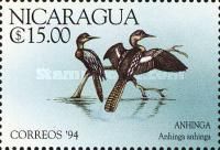 Anhinga (Anhinga anhinga)