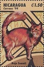 Rojo Somali