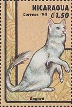 Angora