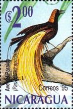 Greater Bird-of-paradise (Paradisaea apoda)