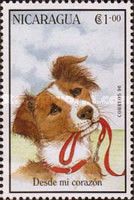 Papillon dog