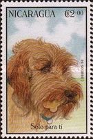 Terrier