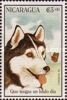 Siberian husky