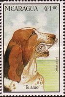 Spaniel