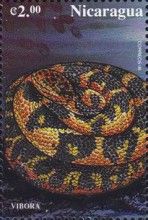 Viper