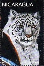 Snow Leopard