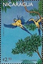Blue-and-yellow Macaw (Ara ararauna)