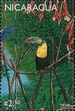 Keel-billed Toucan (Ramphastos sulfuratus)