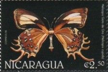 Spangled Cupid (Helicopis cupido)