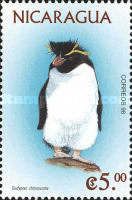 Southern Rockhopper Penguin (Eudyptes chrysocome)