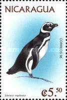 Magellanic Penguin (Spheniscus magellanicus)