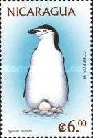 Chinstrap Penguin (Pygoscelis antarcticus)
