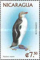 Yellow-eyed Penguin (Megadyptes antipodes)