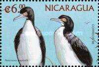 Guanay Cormorant (Phalacrocorax bougainvillii)