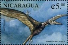 Rhamphorhynchus