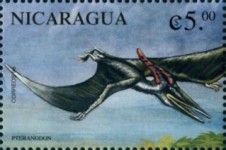 Pteranodon