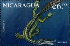 Coelurus