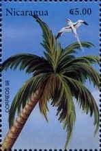 Palm Tree, White-tailed Tropicbird (Phaethon lepturus)
