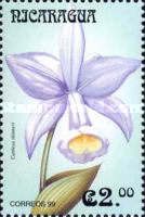 Cattleya skinneri