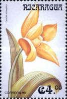 Lycaste aromatica