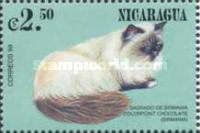 Chocolate colorpoint Birman