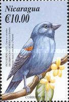 Blue Grosbeak (Guiraca caerulea)