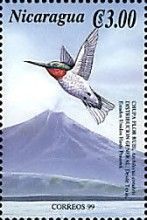 Ruby-throated Hummingbird (Archilochus colubris)