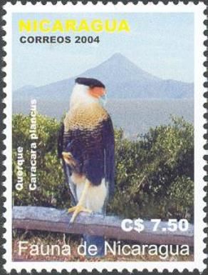 Crested Caracara (Caracara plancus)