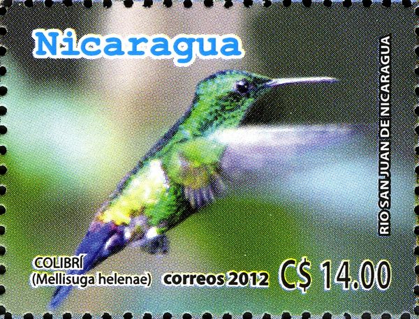 Bee Hummingbird (Mellisuga helenae)