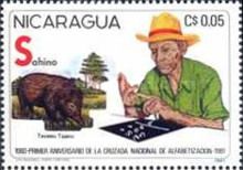 Collared Peccary (Tayassu tajacu), Learning Farmer