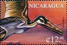 Pterodactylus