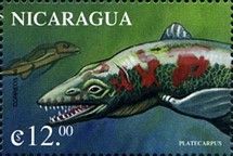 Platecarpus
