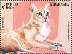 Burmese