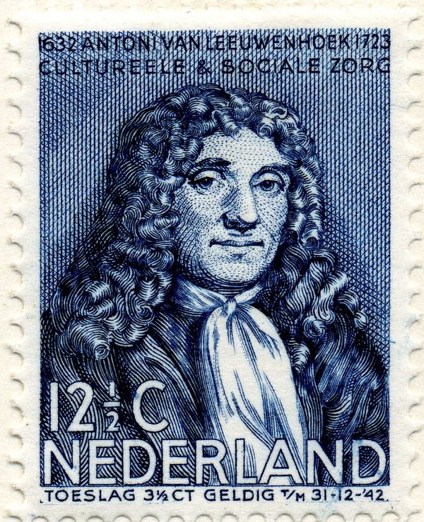 Antoni van Leeuwenhoek (1632-1723) naturalist