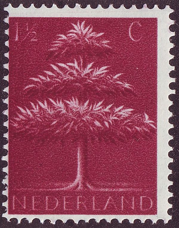 Triple Crowned Tree