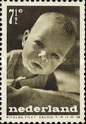 Infant