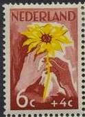 White and brown Hand with Sunflower
