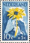 White and brown Hand with Sunflower
