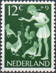 Girl feeding Chickens