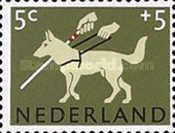 German Shepherd (Canis lupus familiaris) as Guide Dog