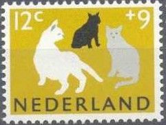 Cats (Felis silvestris catus)