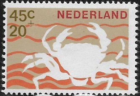 European Shore Crab (Carcinus maenas)