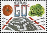 Airport, Tomato and Lettuce