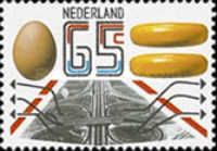 Motorway Interchange, Egg and Cheese