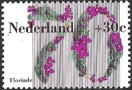 Floriade '82 - Kaaps Violets (Saintpaulia ionantha)