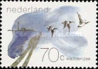 Barnacle Goose (Branta leucopsis)