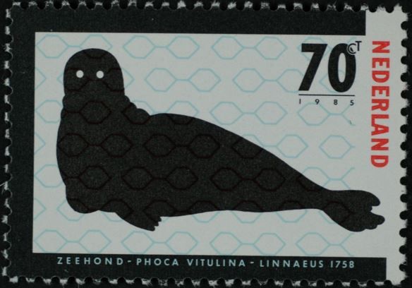 Harbor Seal (Phoca vitulina)