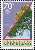 Tree with Discoloured Crown - Coil